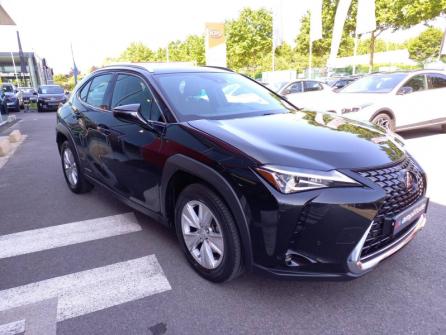 LEXUS UX 250h 2WD Pack Business MY20 à vendre à Melun - Image n°3