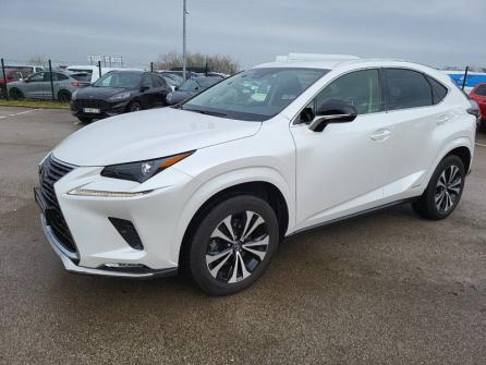 LEXUS NX 300h 2WD Design MY21 à vendre à Dijon - Image n°1