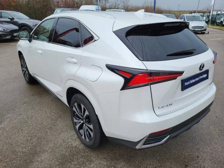 LEXUS NX 300h 2WD Design MY21 à vendre à Dijon - Image n°7