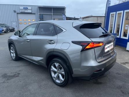 LEXUS NX 300h 4WD Executive à vendre à Orléans - Image n°7