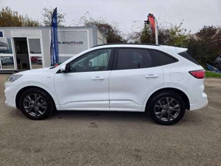 FORD Kuga 2.0 EcoBlue 150ch mHEV ST-Line à vendre à Dijon - Image n°8