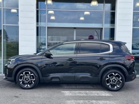 CITROEN C5 Aircross BlueHDi 130ch S&S Feel EAT8 à vendre à Gien - Image n°8