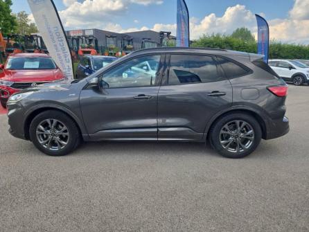 FORD Kuga 1.5 EcoBlue 120ch ST-Line Business à vendre à Dijon - Image n°8