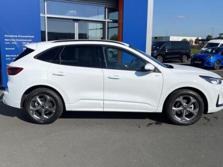 FORD Kuga 2.5 Duratec 180ch Hybrid FlexiFuel ST-Line Powershift à vendre à Châteauroux - Image n°4